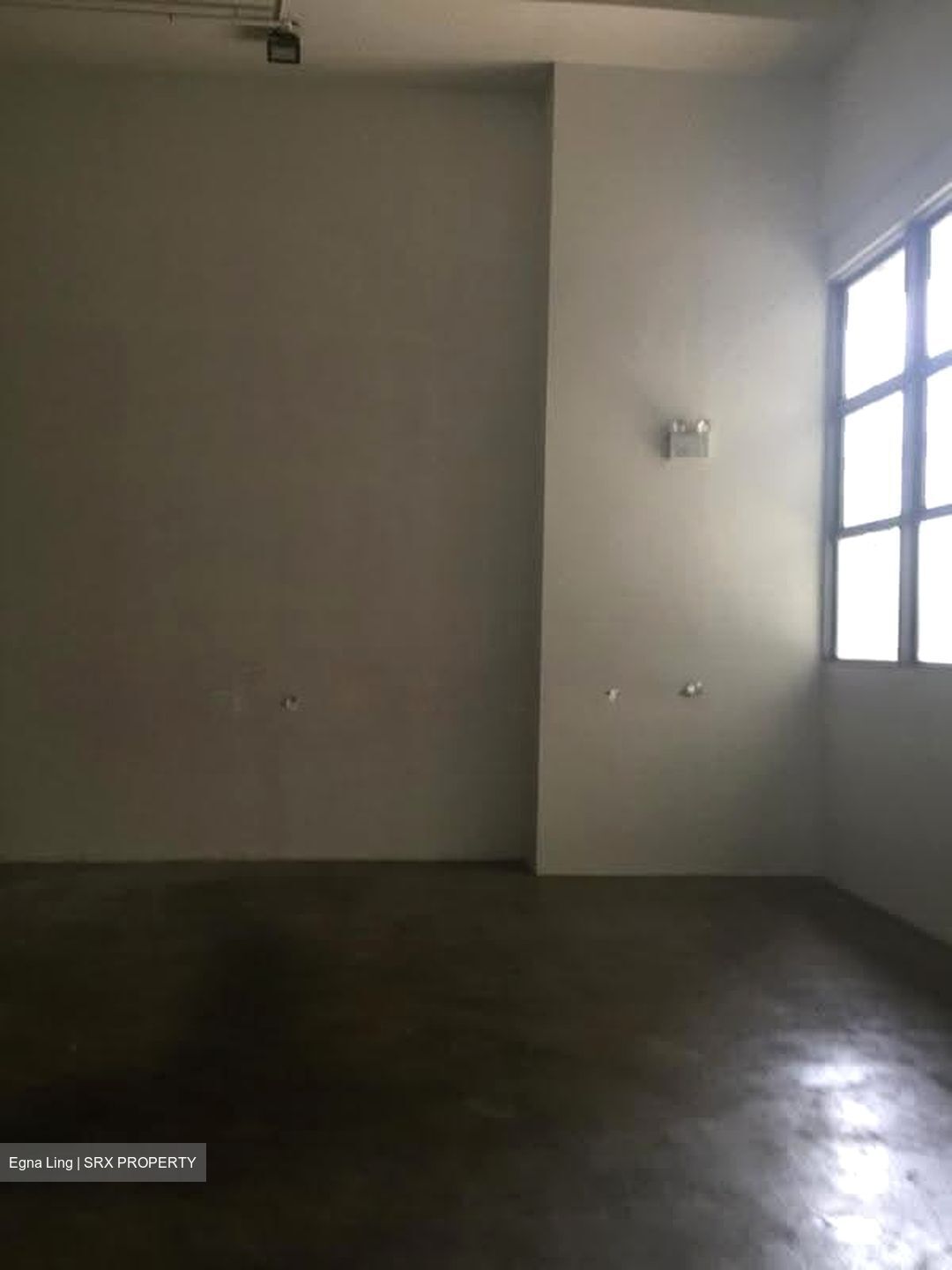 North Spring Bizhub (D27), Factory #634484141